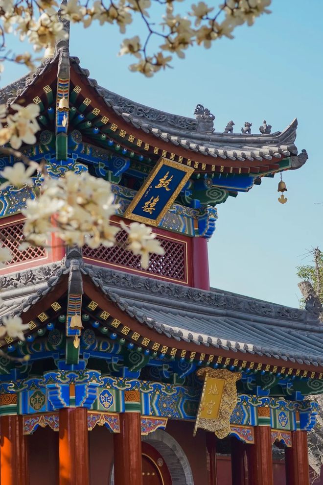少？西安旅游攻略5天4晚本地团推荐爱游戏ayx西安旅游团5天报价是多(图1)