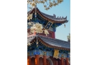 少？西安旅游攻略5天4晚本地团推荐爱游戏
